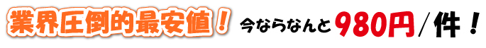 業界最安値！今ならなんと980円／件！